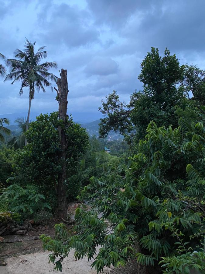 Pearl'S Homestay Matale Exterior foto